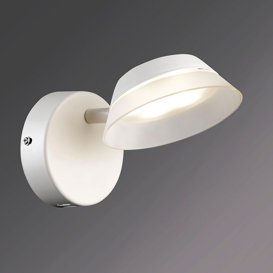 Electrical products